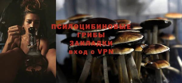 хмурый Балахна